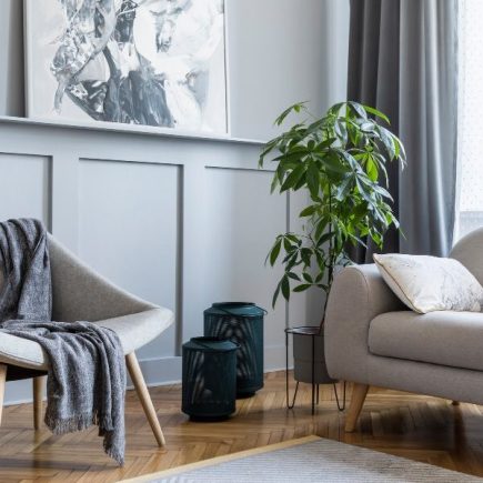 přeplňená obývačka