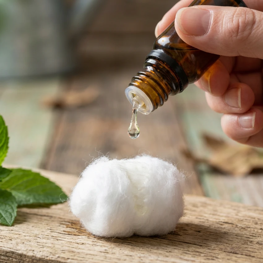 Praktická aplikace - Máta peprná